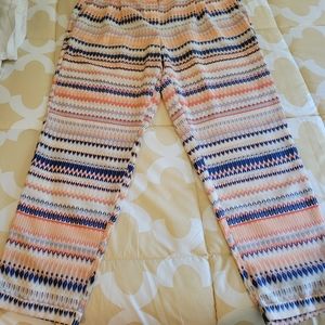 JCrew medium light weight pants